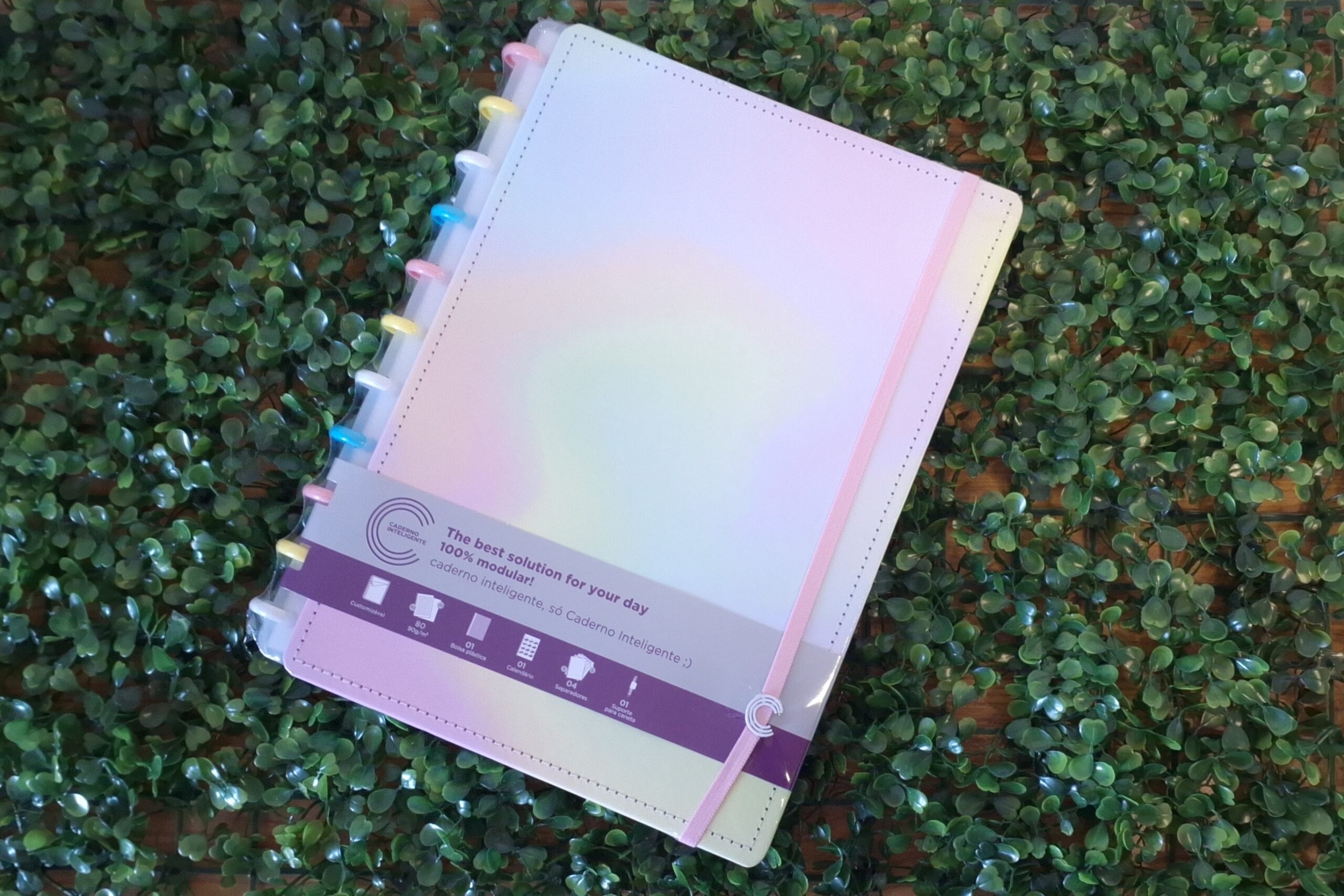 CADERNO INTELIGENTE CANDY SPLASH  - CADERNO INTELIGENTE - CANDY