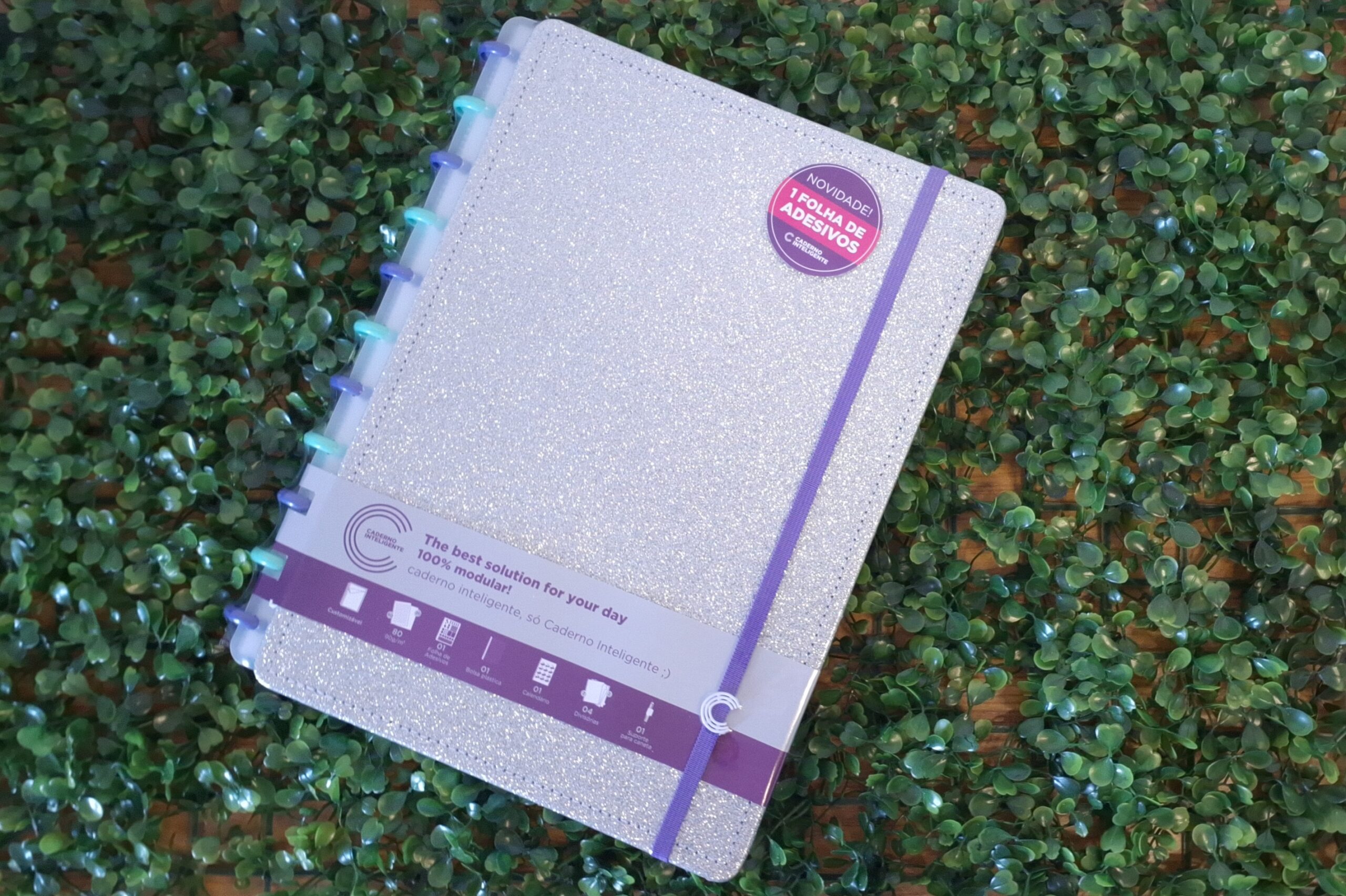 CADERNO INTELIGENTE LETS GLITTER SILVER 2.0  - CADERNO INTELIGENTE - GLITTER