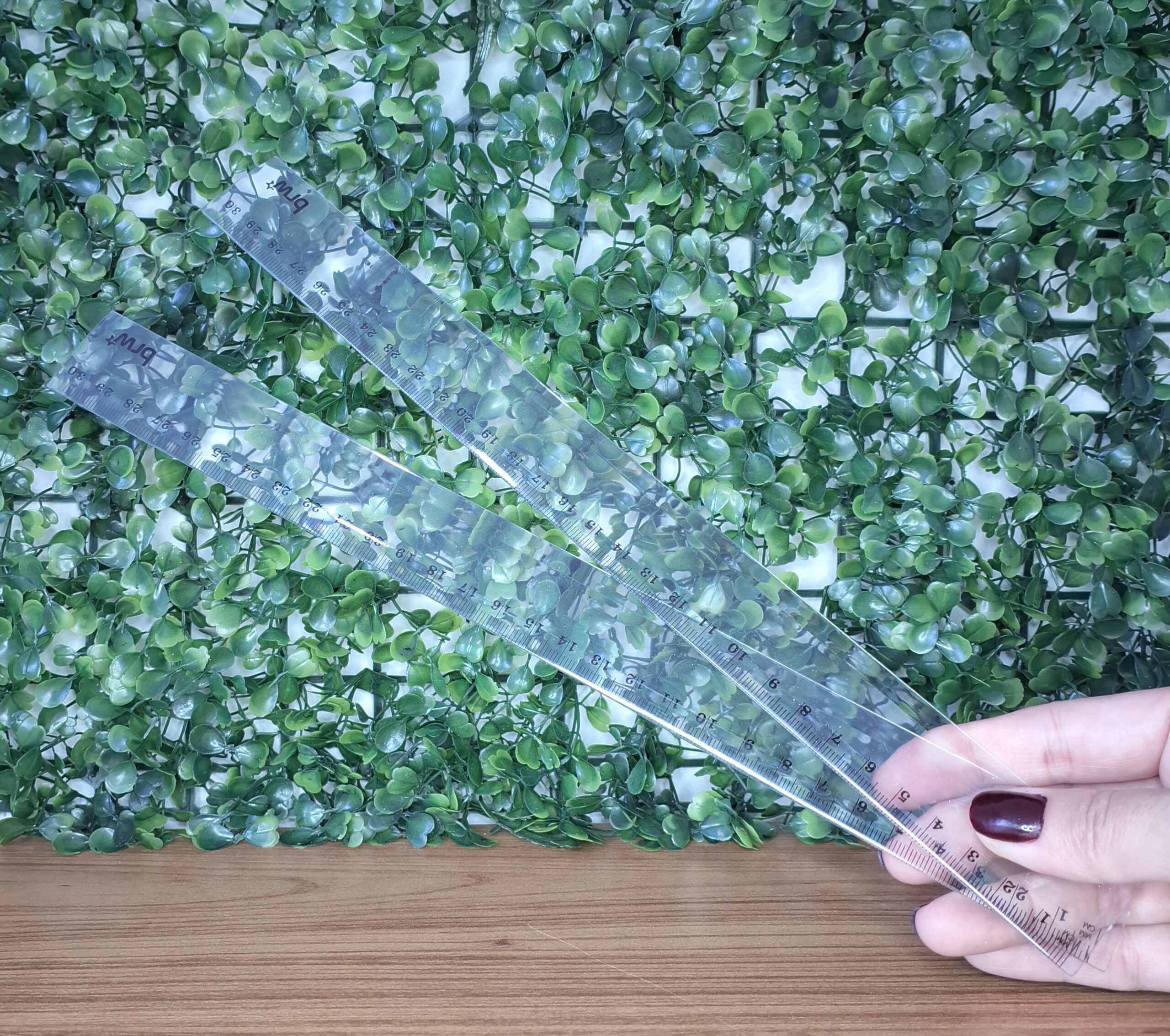 RÉGUA PLÁSTICA 30 CM CRISTAL   - BRW
